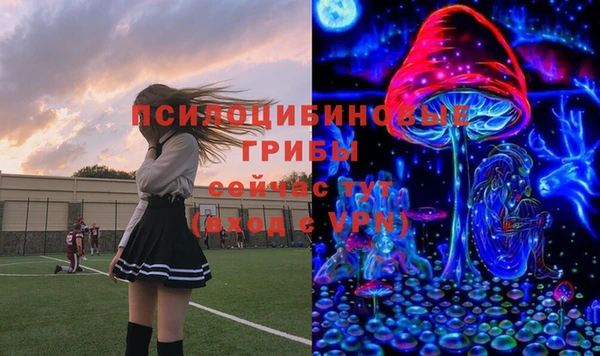 соль ск Касимов
