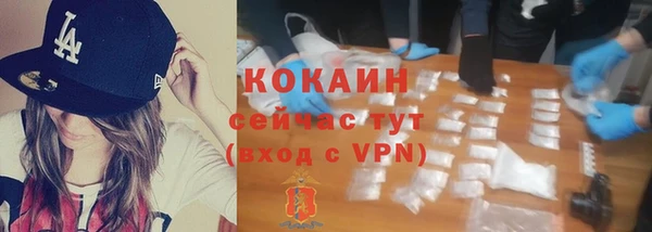 соль ск Касимов