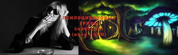 прущая мука Карпинск