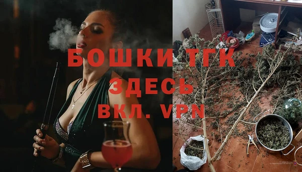соль ск Касимов