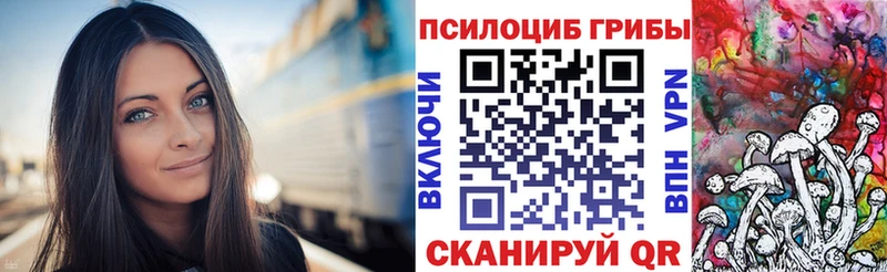 Галлюциногенные грибы Cubensis Каменск-Шахтинский
